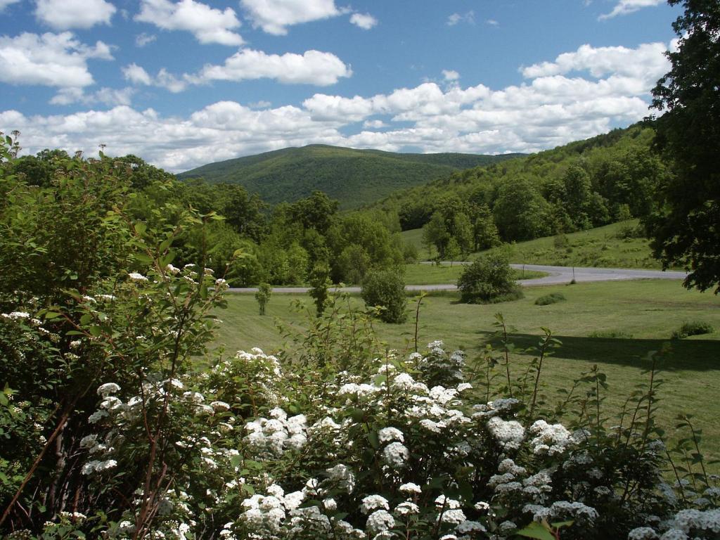 Margaretville Mountain Inn B&B Eksteriør billede